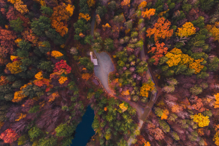 Autunno in camper